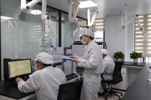 鴻湖膜業自主研發自動化裁切設備，以技術創新驅動調光膜應用拓展